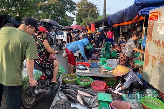 Cạn tiền bị tiểu thương chém giá đắt, dân dậy sớm đi chợ đầu mối