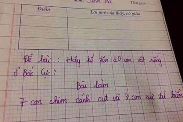 Đất nước gần Bắc Cực trở thành điểm săn cực quang lý tưởng nhất thế giới-14