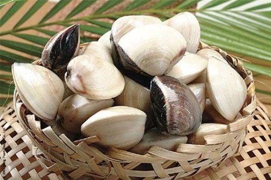 Mách chị em mẹo chọn ngao, sò, ốc tươi ngon nhất
