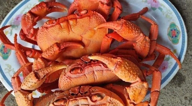 Đặc sản núi ngon hơn cua biển, rẻ hơn cua đồng, dân buôn hốt bạc-5