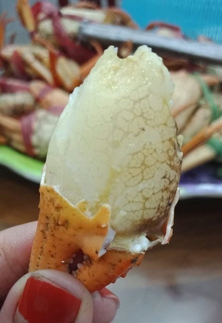 Đặc sản núi ngon hơn cua biển, rẻ hơn cua đồng, dân buôn hốt bạc-6