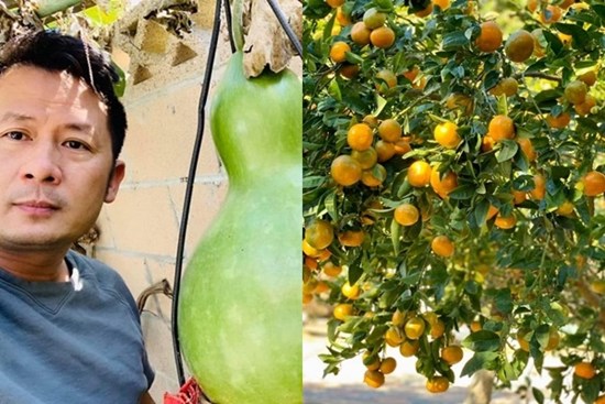 Ca sĩ Bằng Kiều khoe hoa quả thu hoạch trong vườn nhà, nhìn là mê