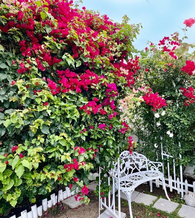 Khu vườn rộng 300 m2 của mẹ Việt ở Mỹ khiến bao người mê mẩn-7