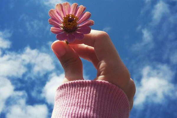 Cuối tháng 7, 4 con giáp may mắn tột đỉnh, công việc suôn sẻ, tiền đầy ví tình đầy tim-5