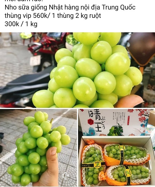 Nho sữa Trung Quốc loạn giá trên chợ mạng-2
