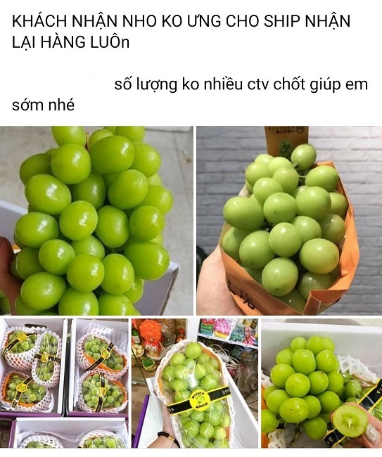 Nho sữa Trung Quốc loạn giá trên chợ mạng-3