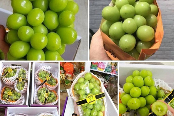 Đắt gấp 5 lần hàng Mỹ, loại quả Trung Quốc được ráo riết lùng mua-3