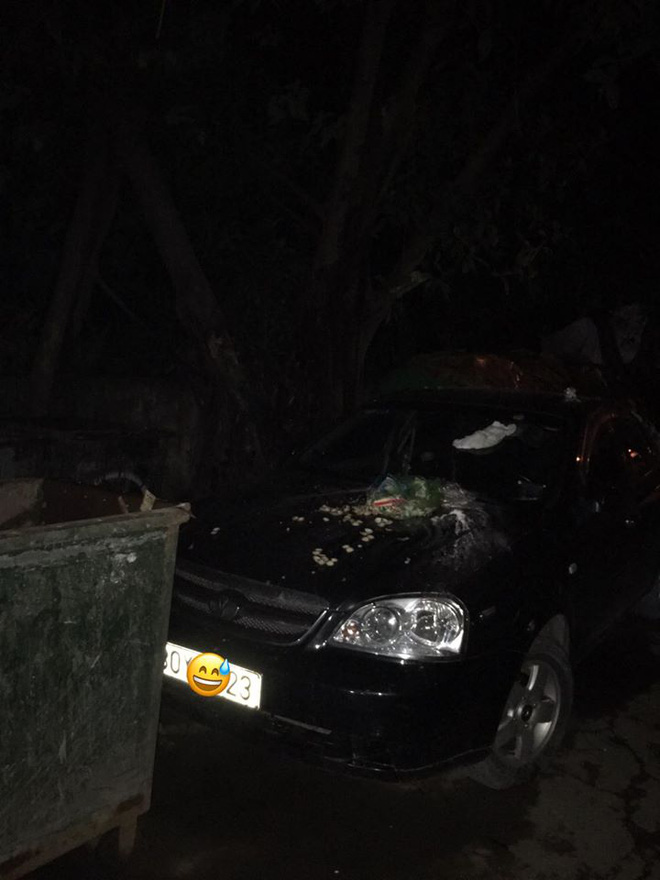 Đỗ xe chắn bãi rác, tài xế ô tô chắc sẽ hoảng hồn với thứ nhầy nhụa trên nắp ca - pô-1