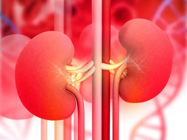 Dù là nam hay nữ, chỉ cần cơ thể có 3 bộ phận này luôn ấm thì chứng tỏ thận đang rất khỏe mạnh-1