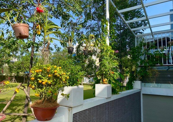 Ông xã đại gia tặng biệt thự 200m2, nghệ sĩ Kim Chi tự trồng rau ăn 5 bữa không hết-14