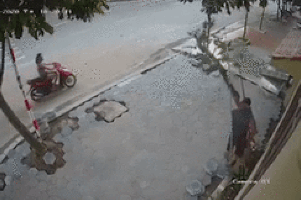 Đôi nam nữ ngang nhiên vác trộm cây trước nhà dân