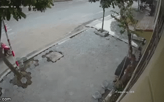 Camera an ninh bóc màn trộm bá đạo: Người đàn ông nhổ cả gốc cây lẫn khung bảo vệ mang đi-1