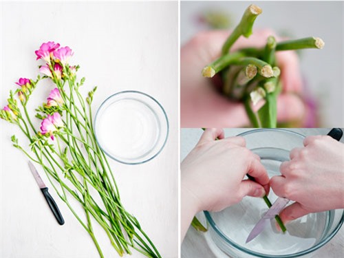 Muốn hoa tươi lâu mà không biết các mẹo dưới đây bạn đã phí một đời-1