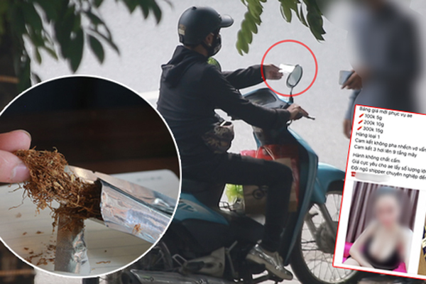 Trăm phiếu siêu âm tim của phi công, tiếp viên giống hệt nhau-4