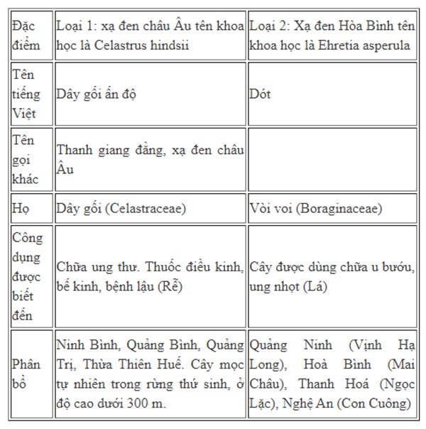 Hiểu đúng về cây xạ đen hỗ trợ chống ung thư-3