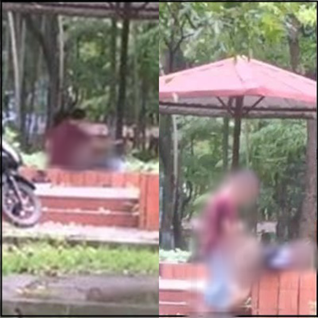 Cặp đôi vô tư mây mưa trong công viên lúc sáng sớm | Tin tức Online