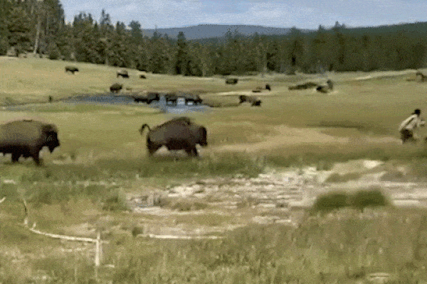 Né cảnh sát, tài xế xe máy đâm vào cột biển báo-1