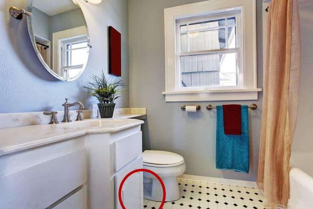 3 thứ không nên đặt trong nhà vệ sinh, đọc ngay bài này trước khi quá muộn-4