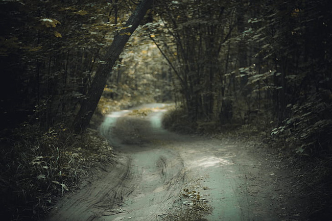 Vụ án giết người bí ẩn gần 100 năm trước: Thi thể 2 cô giáo được học sinh phát hiện bên đường, đến nay hung thủ vẫn là ẩn số-1