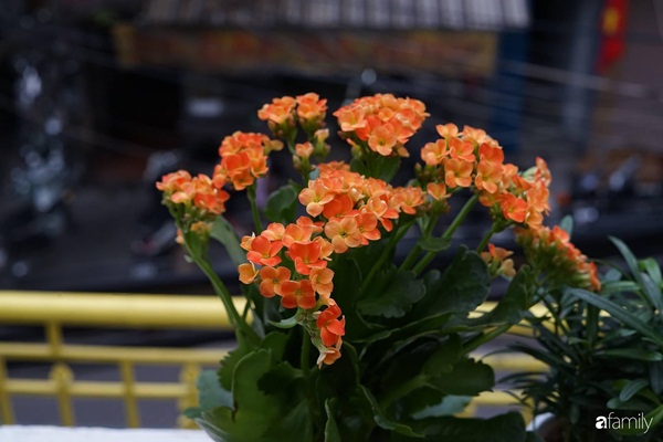Căn hộ tập thể màu vàng sắc nắng mang vẻ hoài cổ ấn tượng ở quận Hoàn Kiếm, Hà Nội-13
