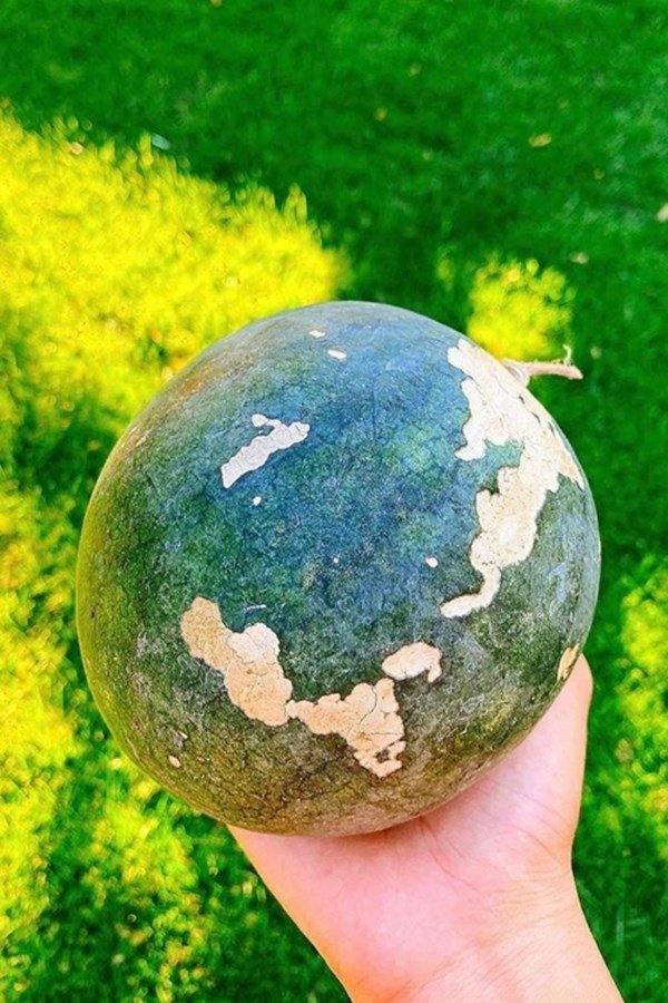 3 nàng hậu khoái làm vườn hơn showbiz: Phạm Hương có biệt thự bên Mỹ cũng không bằng Giáng My-4