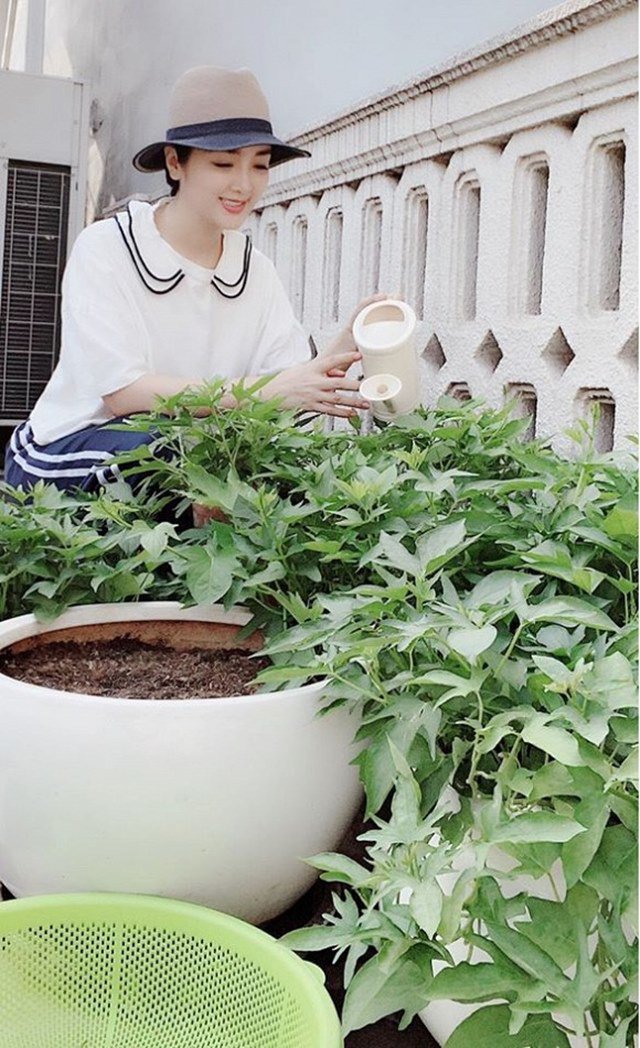 3 nàng hậu khoái làm vườn hơn showbiz: Phạm Hương có biệt thự bên Mỹ cũng không bằng Giáng My-18