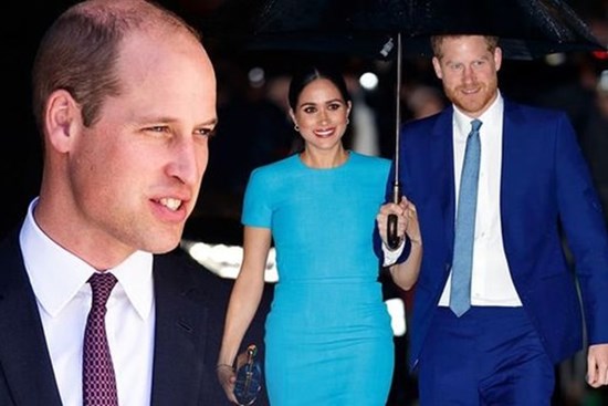 Chỉ đưa ra 2 lời khuyên về Meghan, Hoàng tử William đã khiến em trai Harry giận dữ và gây ra rạn nứt hoàng gia