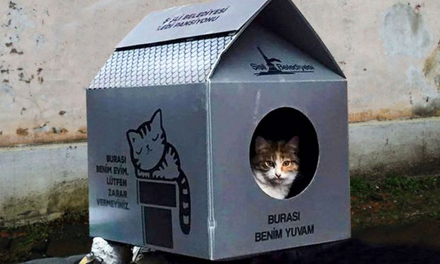 Những bức ảnh truyền cảm hứng về tình yêu thương và sự tử tế khiến ai xem xong cũng cảm thấy ấm lòng-8