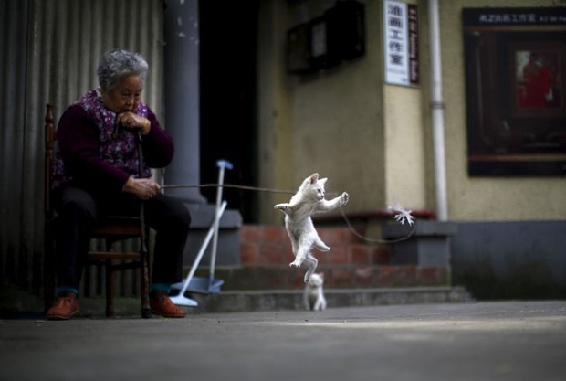 Những bức ảnh truyền cảm hứng về tình yêu thương và sự tử tế khiến ai xem xong cũng cảm thấy ấm lòng-11