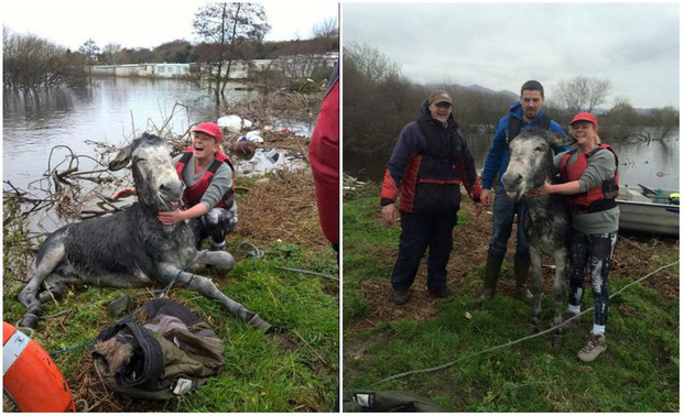 Những bức ảnh truyền cảm hứng về tình yêu thương và sự tử tế khiến ai xem xong cũng cảm thấy ấm lòng-16