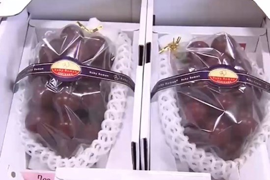 Chùm nho được bán giá kỷ lục hơn 283 triệu đồng