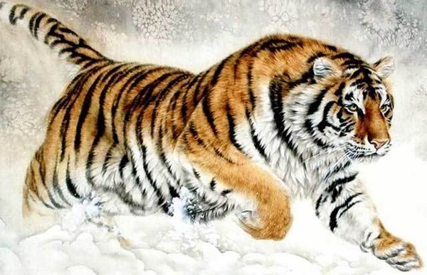 Từ giờ đến cuối năm Canh Tý 2020: 3 con giáp có sự nghiệp suôn sẻ, vận đỏ như son-1