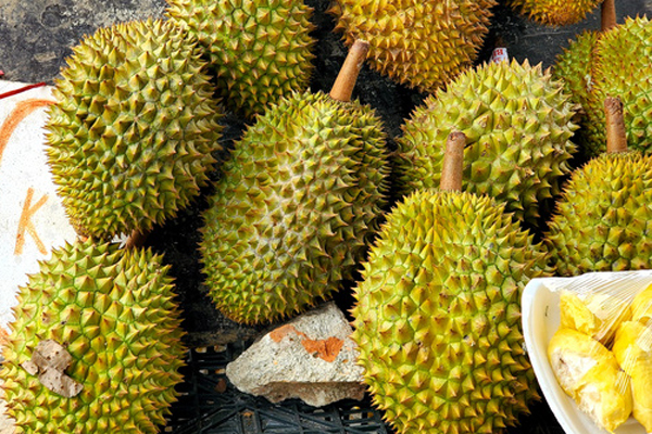 Sầu riêng rẻ như cho chỉ 15.000 đồng/kg, người trồng sầu lý giải nguyên nhân rớt giá-6