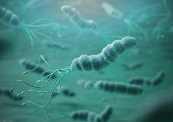 Các thành viên trong gia đình bị ung thư cùng lúc, bác sĩ chỉ ra 3 nguyên nhân chính-1