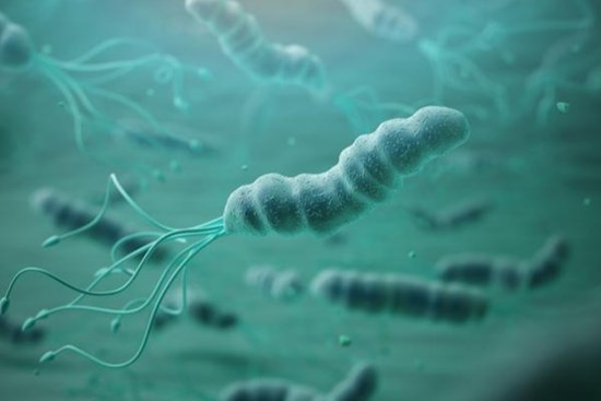 Các thành viên trong gia đình bị ung thư cùng lúc, bác sĩ chỉ ra 3 nguyên nhân chính