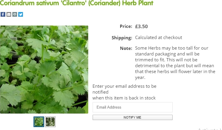 Dạo 1 vòng chợ mạng nước ngoài, liệu bạn sẽ tốn bao nhiêu tiền cho 1 bữa cơm Việt?-6