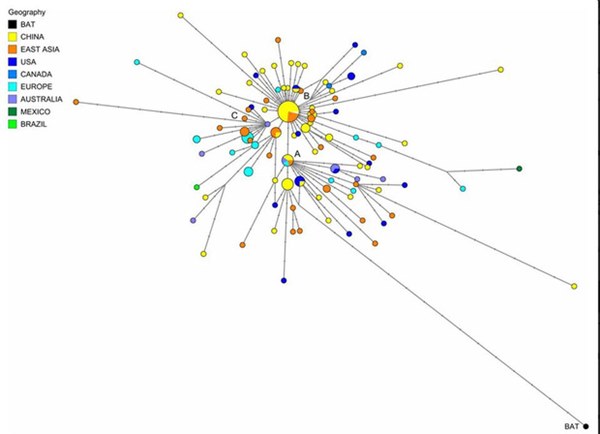 PGS.TS Huynh Wynn Tran: Chủng virus mới tại Việt Nam có thể là chủng D614G - hiện đang hoành hành ở châu Âu và Mỹ-2
