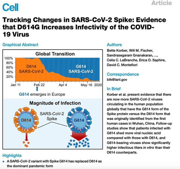 PGS.TS Huynh Wynn Tran: Chủng virus mới tại Việt Nam có thể là chủng D614G - hiện đang hoành hành ở châu Âu và Mỹ-3