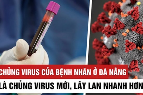 PGS.TS Huynh Wynn Tran: Chủng virus mới tại Việt Nam có thể là chủng D614G - hiện đang hoành hành ở châu Âu và Mỹ