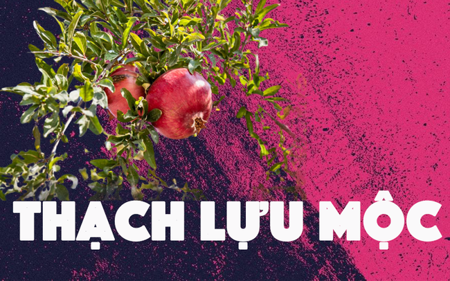 Phụ nữ mệnh này sinh vào mùa xuân, được hưởng lộc trời, cuộc đời phúc thọ toàn tài, sung túc ấm no-2