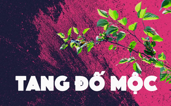 Phụ nữ mệnh này sinh vào mùa xuân, được hưởng lộc trời, cuộc đời phúc thọ toàn tài, sung túc ấm no-3