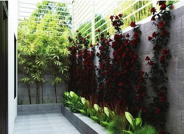 Mướt mắt với những mẫu vườn tí hon siêu đẹp cho nhà diện tích nhỏ-7