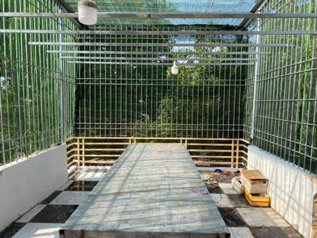 Cơn sốt lan phi điệp đột biến: Trái đắng đầu tiên-2