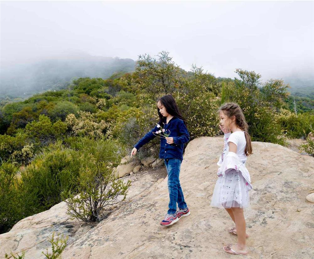 Rời Mỹ, Hồng Nhung chính thức có mặt ở Việt Nam, đưa cặp song sinh đi cách ly-6