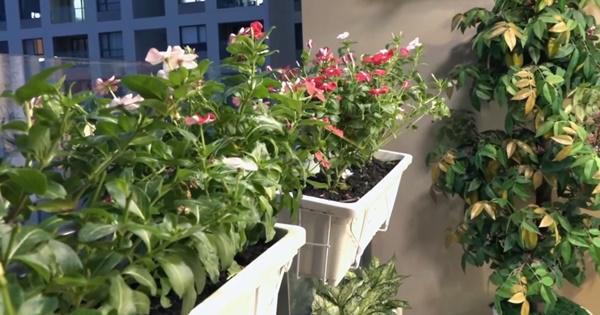 Nội ngoại cho 3 căn nhà, vợ chồng Lâm Khánh Chi vẫn ở nơi đơn giản này-8