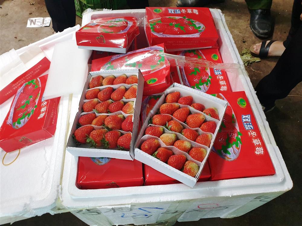 Kinh hoàng dâu tây Trung Quốc tuồn về Đà Lạt có dư lượng thuốc trừ sâu gấp 3 lần cho phép-4