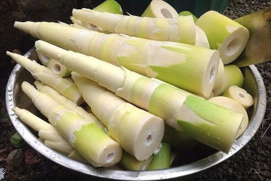 Mẹo bảo quan măng tươi được lâu mà không bị khô cứng