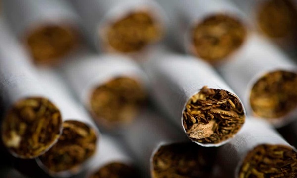 Phát hiện chất nicotine có thể làm giảm nguy cơ nhiễm Covid-19-1