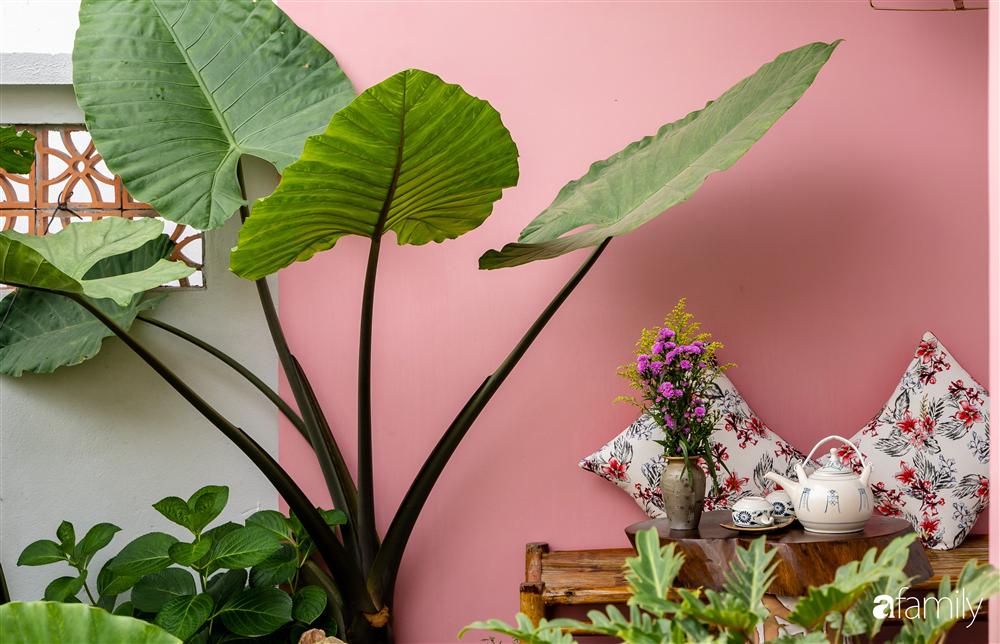 Ngôi nhà vườn xanh mát bóng cây do vợ chồng cùng nhau thiết kế ở Hội An-7