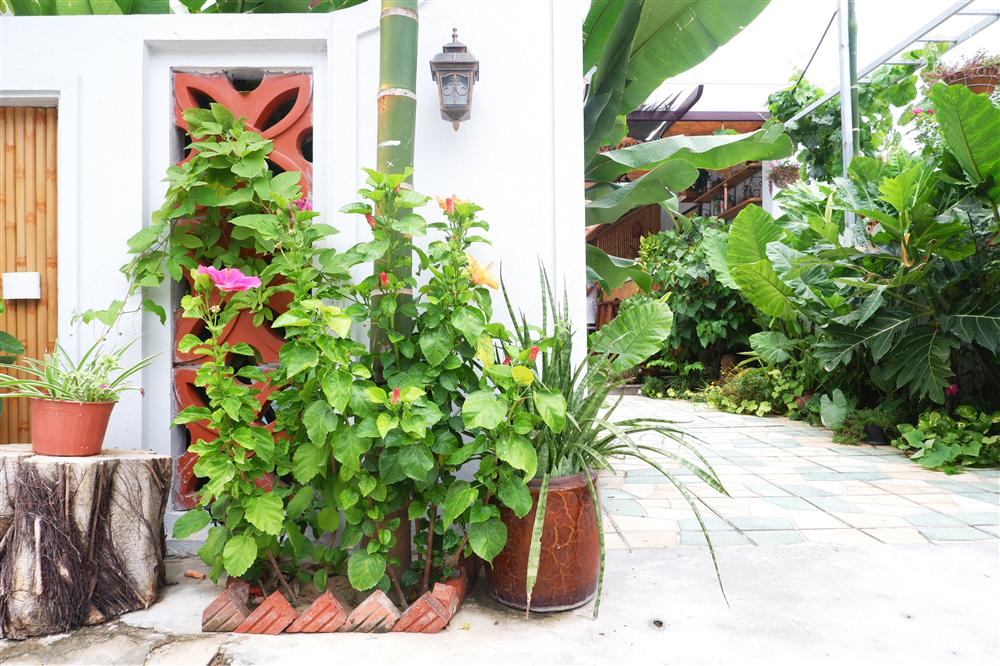 Ngôi nhà vườn xanh mát bóng cây do vợ chồng cùng nhau thiết kế ở Hội An-25